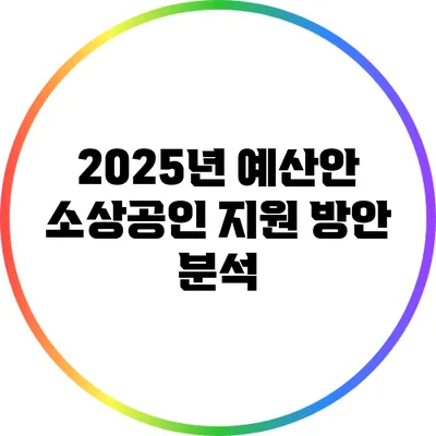 2025년 예산안 소상공인 지원 방안 분석