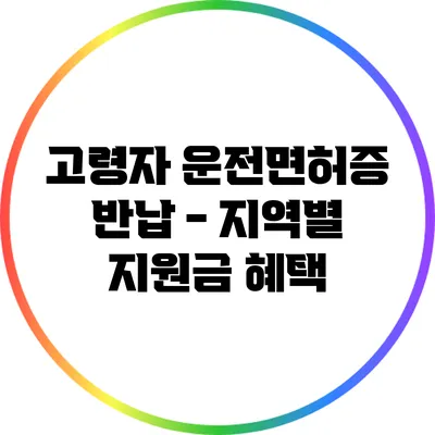 고령자 운전면허증 반납 - 지역별 지원금 혜택