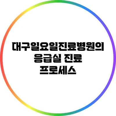 대구일요일진료병원의 응급실 진료 프로세스