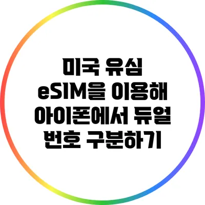 미국 유심 eSIM을 이용해 아이폰에서 듀얼 번호 구분하기