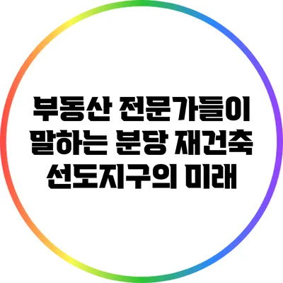 부동산 전문가들이 말하는 분당 재건축 선도지구의 미래