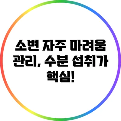 소변 자주 마려움 관리, 수분 섭취가 핵심!