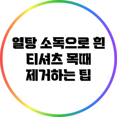 열탕 소독으로 흰 티셔츠 목때 제거하는 팁