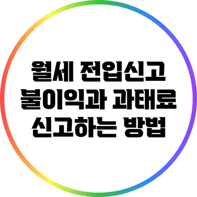 월세 전입신고 불이익과 과태료: 신고하는 방법