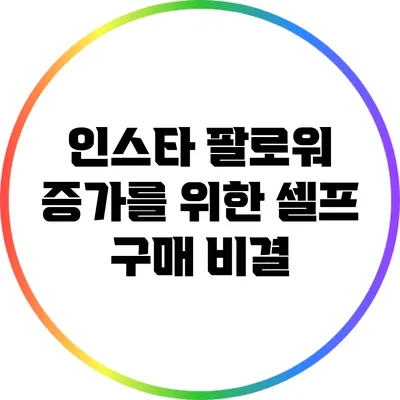 인스타 팔로워 증가를 위한 셀프 구매 비결