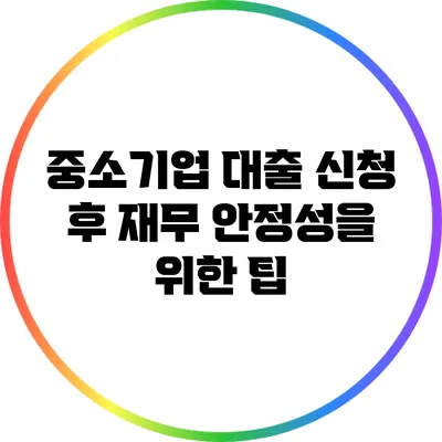 중소기업 대출 신청 후 재무 안정성을 위한 팁