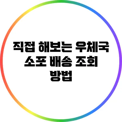 **직접 해보는 우체국 소포 배송 조회 방법**