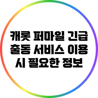 캐롯 퍼마일 긴급 출동 서비스 이용 시 필요한 정보