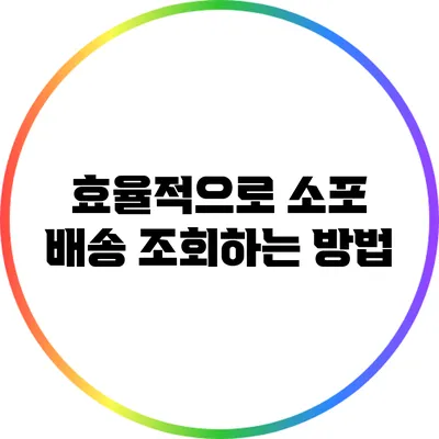 **효율적으로 소포 배송 조회하는 방법**