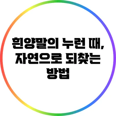 흰양말의 누런 때, 자연으로 되찾는 방법