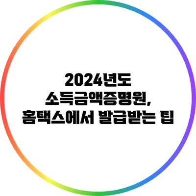 2024년도 소득금액증명원, 홈택스에서 발급받는 팁