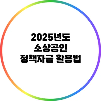 2025년도 소상공인 정책자금 활용법