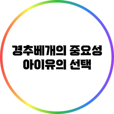 경추베개의 중요성: 아이유의 선택