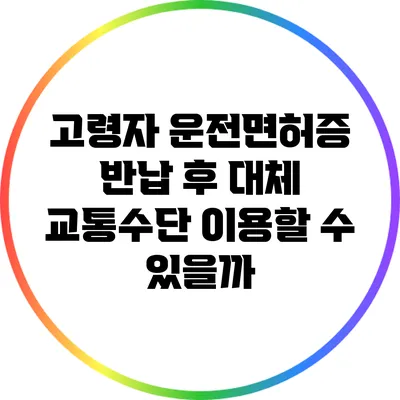 고령자 운전면허증 반납 후 대체 교통수단 이용할 수 있을까?