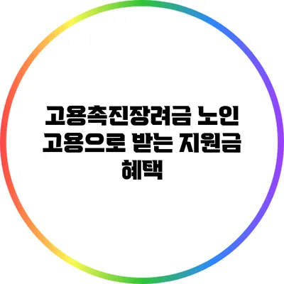 고용촉진장려금: 노인 고용으로 받는 지원금 혜택