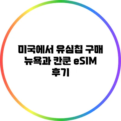 미국에서 유심칩 구매: 뉴욕과 칸쿤 eSIM 후기