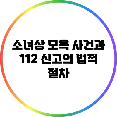 소녀상 모욕 사건과 112 신고의 법적 절차