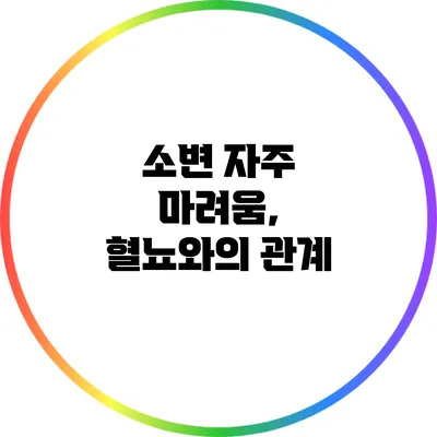 소변 자주 마려움, 혈뇨와의 관계