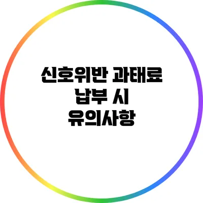 신호위반 과태료 납부 시 유의사항