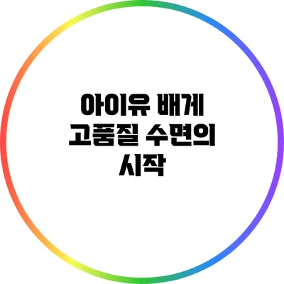 아이유 배게: 고품질 수면의 시작