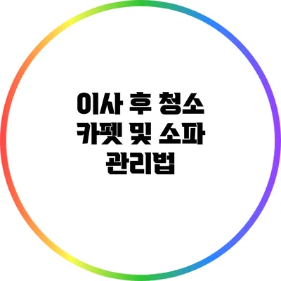이사 후 청소: 카펫 및 소파 관리법