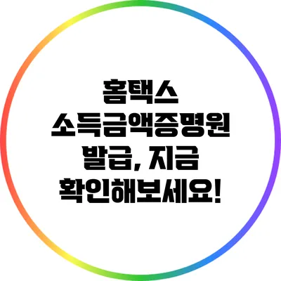 홈택스 소득금액증명원 발급, 지금 확인해보세요!