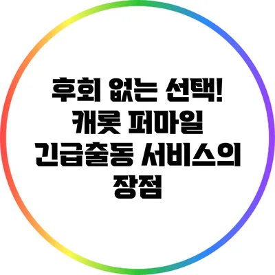 후회 없는 선택! 캐롯 퍼마일 긴급출동 서비스의 장점