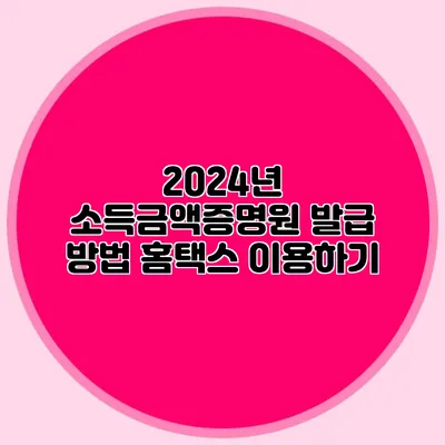 2024년 소득금액증명원 발급 방법: 홈택스 이용하기
