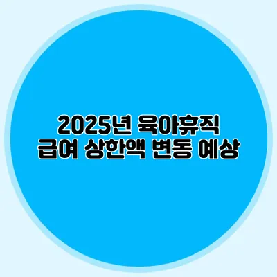 2025년 육아휴직 급여 상한액 변동 예상