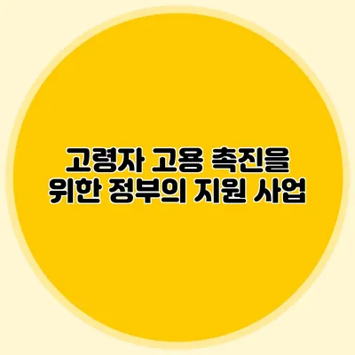 고령자 고용 촉진을 위한 정부의 지원 사업