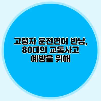 고령자 운전면허 반납, 80대의 교통사고 예방을 위해