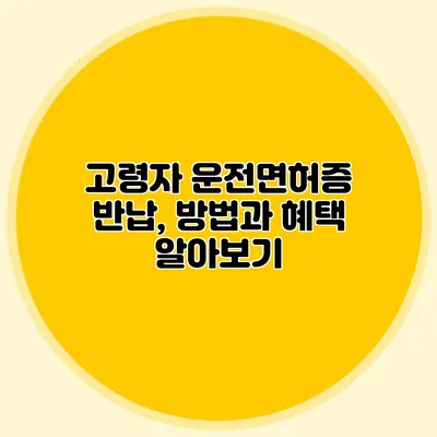 고령자 운전면허증 반납, 방법과 혜택 알아보기