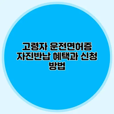고령자 운전면허증 자진반납 혜택과 신청 방법