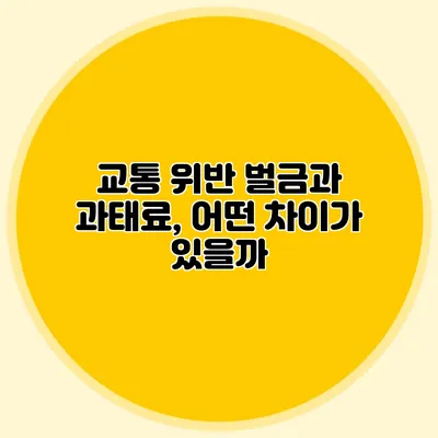 교통 위반 벌금과 과태료, 어떤 차이가 있을까?