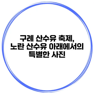 구례 산수유 축제, 노란 산수유 아래에서의 특별한 사진