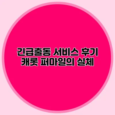 긴급출동 서비스 후기: 캐롯 퍼마일의 실체
