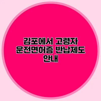 김포에서 고령자 운전면허증 반납제도 안내
