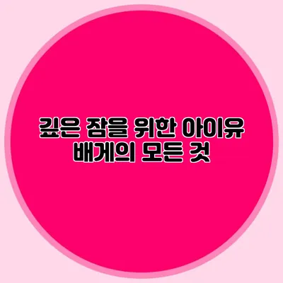깊은 잠을 위한 아이유 배게의 모든 것