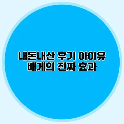 내돈내산 후기: 아이유 배게의 진짜 효과
