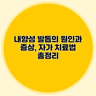 내향성 발톱의 원인과 증상, 자가 치료법 총정리
