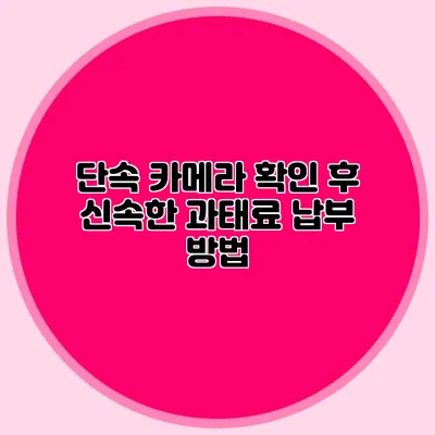 단속 카메라 확인 후 신속한 과태료 납부 방법
