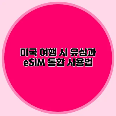 미국 여행 시 유심과 eSIM 통합 사용법