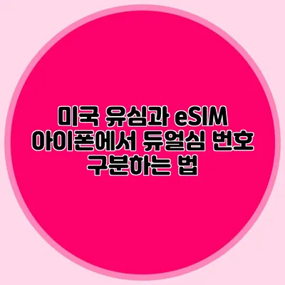 미국 유심과 eSIM: 아이폰에서 듀얼심 번호 구분하는 법