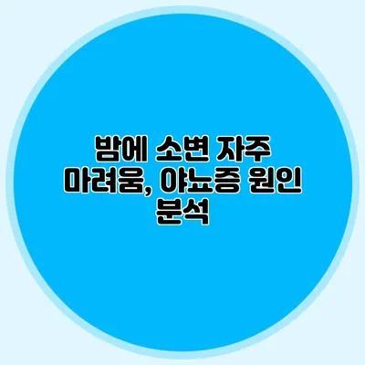 밤에 소변 자주 마려움, 야뇨증 원인 분석