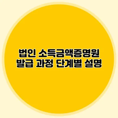 법인 소득금액증명원 발급 과정 단계별 설명