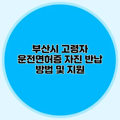 부산시 고령자 운전면허증 자진 반납 방법 및 지원