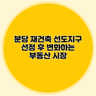 분당 재건축 선도지구 선정 후 변화하는 부동산 시장