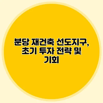 분당 재건축 선도지구, 초기 투자 전략 및 기회
