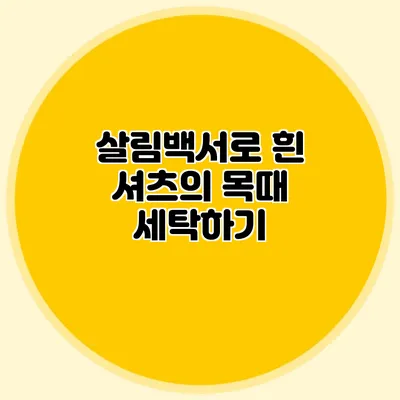 살림백서로 흰 셔츠의 목때 세탁하기