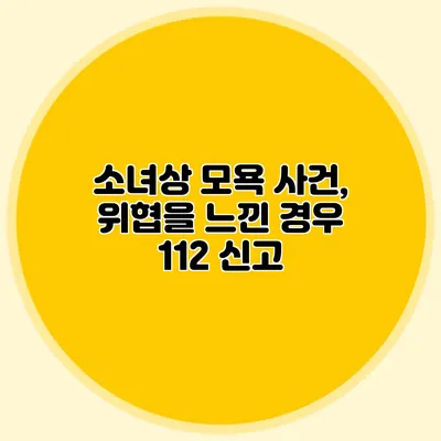 소녀상 모욕 사건, 위협을 느낀 경우 112 신고